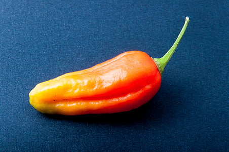 pepper, chili, orange, bright, sharp, pepper crop, eat