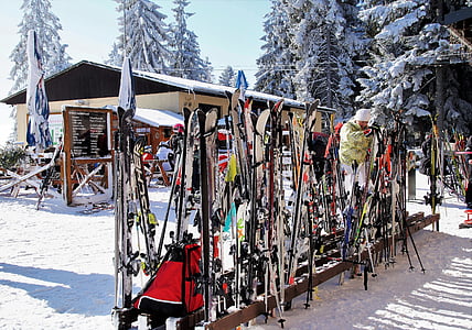 ski areal, ski, stand with skis, skiing area, pause, rest, winter