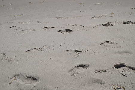 sporen, voetafdrukken, zand, strand, voetafdruk, sporen in het zand, Trace