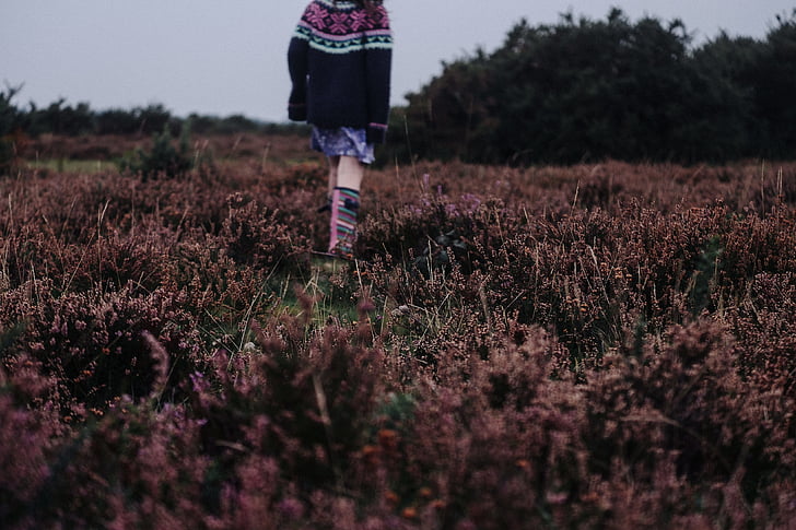 countryside, cropland, field, flowers, grass, outdoors, person