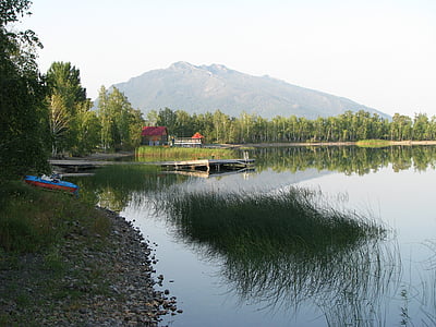 Reed, jezero, voda, Příroda, venku, reflexe, Les