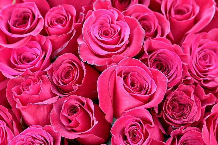 τριαντάφυλλα, μπουκέτο, κόκκινο, λουλούδια