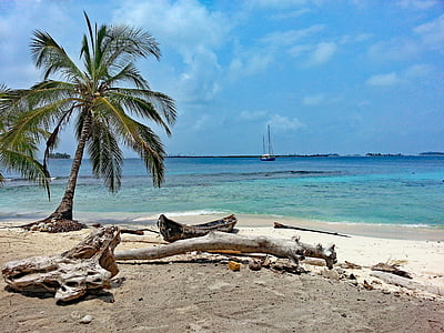 Isla diablo, η περιοχή San blas, Παναμάς, GUNA ΓΙΑΛΑ, Καραϊβική, νησί, φοίνικες