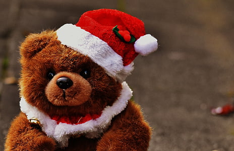 christmas, greeting card, teddy, santa hat, plush, cute, children toys