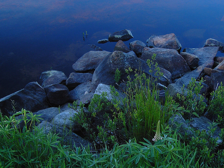 Szwecja, Jezioro, Bank, kamienie, roślina