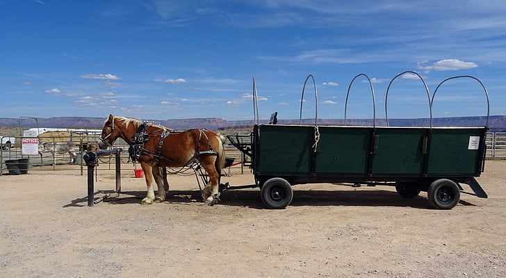 Ranch, Hualapai, Indiase, wagon, paard, winkelwagen, vervoer