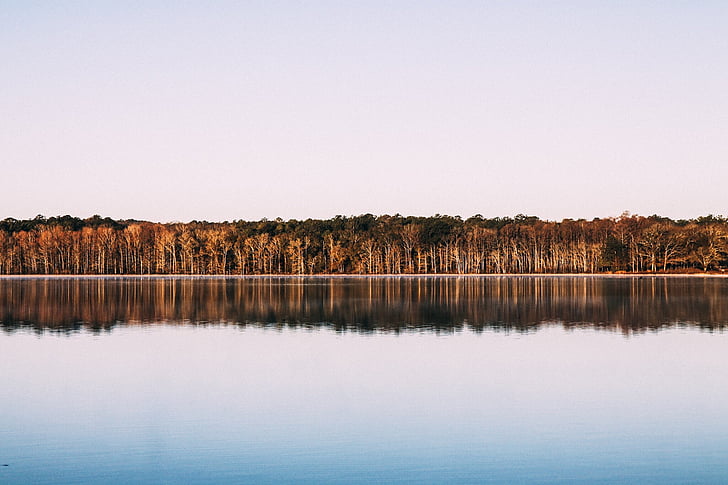 kroppen, vatten, träd, dagtid, Panorama, fotografering, sjön