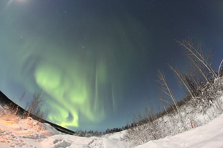 Aurora, Severní polární záře, Borealis, noční, Příroda, zelená, krajina