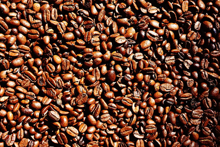 káva, kávové zrná, kaviareň, pečené, Kofeín, hnedá, aróma