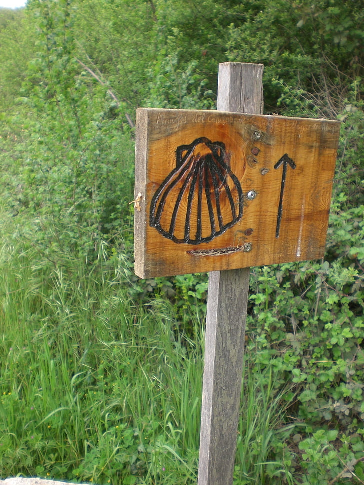 Jakobsweg, Register, Shell, retning, Camino de santiago, tegn, symbol