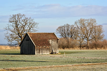 barn, hut, field barn, nature, field, meadow, pasture