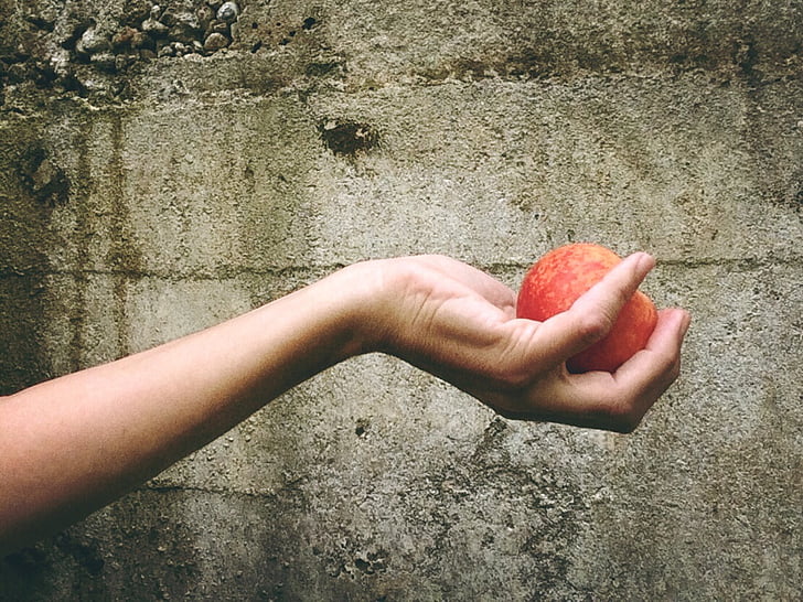 peach, fruit, hand, give