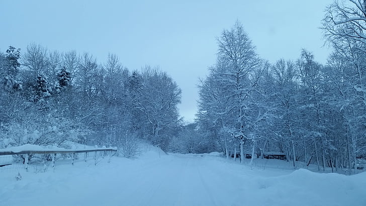 Зима, Зимние пейзажи, Пейзажная фотография, Скандинавия, северных стран, Норвегия, в холод