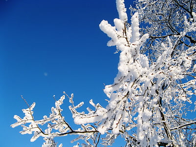 Руски зима, красота, природата, зимни, сняг, село, Русия