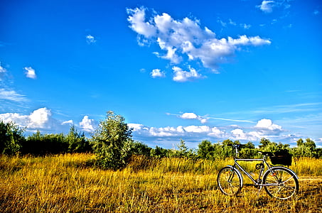 peisaj, câmp, biciclete, tur, iarba, marile campii, regiune