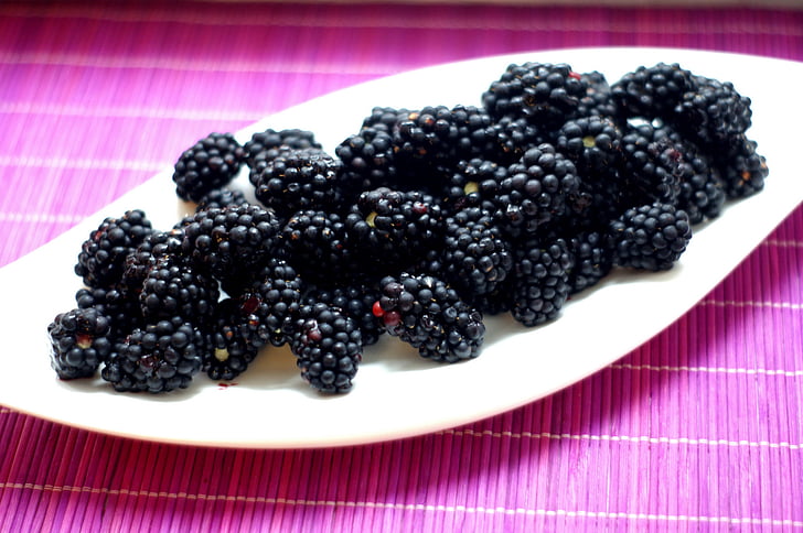 블랙베리, 야생 딸기, 베리, 건강 한, 과일, 비타민, 다이어트