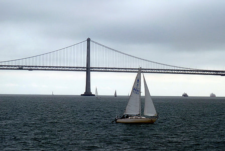 Bay, Podul, san francisco, Oakland bay bridge, cabluri din otel, barca cu panze, navigatie