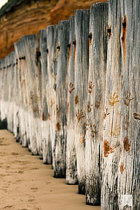 rompeolas, postes de, Playa, madera, Anglesea, Victoria, Australia