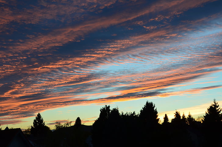 sky, clouds, sunset, silhouette, tree, scenics, tranquil scene