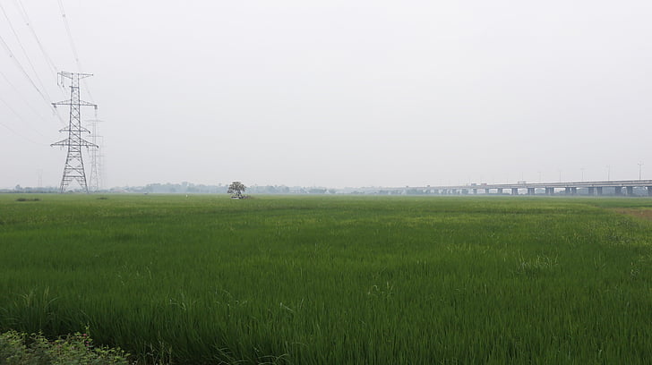 Βιετνάμ, εξοχή, τοπίο, πράσινο, ειρηνική, δρόμος, τοπίο