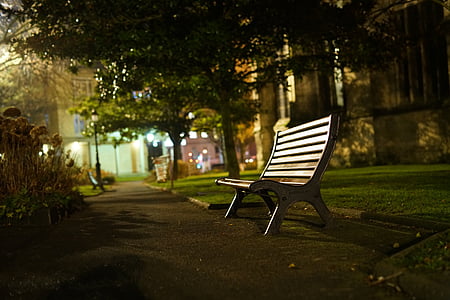 板凳, 晚上, 公园, 城市, 树, 户外, 公园-男人作空间
