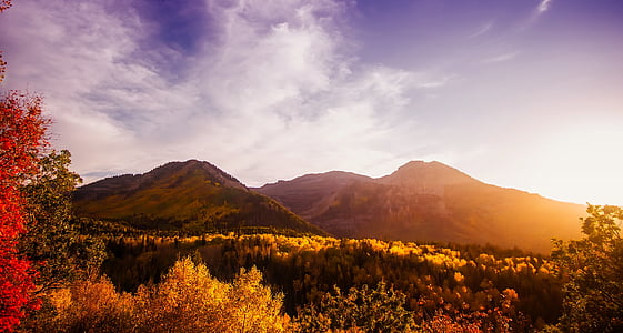 Utah, Panorama, Syksy, syksyllä, värikäs, vuoret, Valley