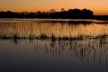 wetlands, sunset, landscape, nature, sky, water, reflection