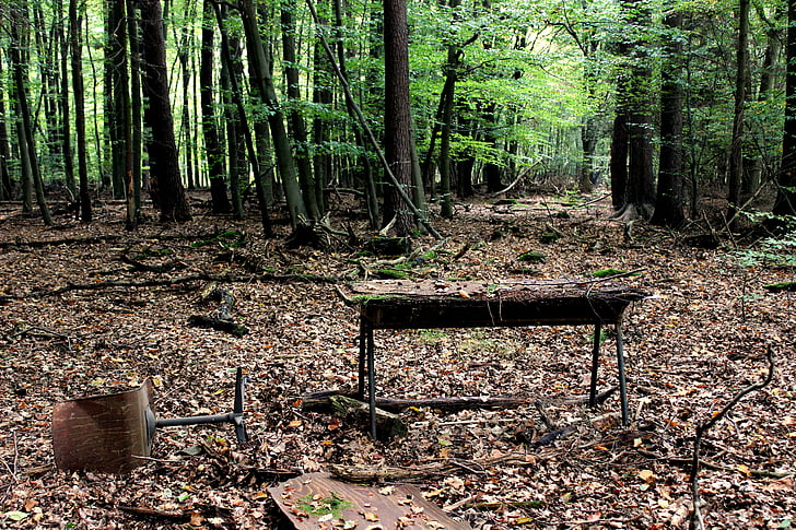 metsa töökeskus, laud, kontori tool, metsa, reostuse, ökoloogilise tasakaalu, atmosfäär