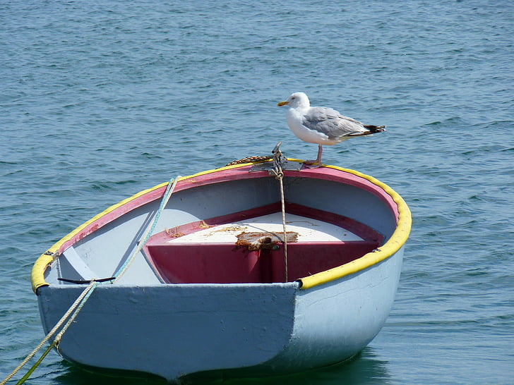 rowboat, water, calm, moored, nautical, wood, vessel