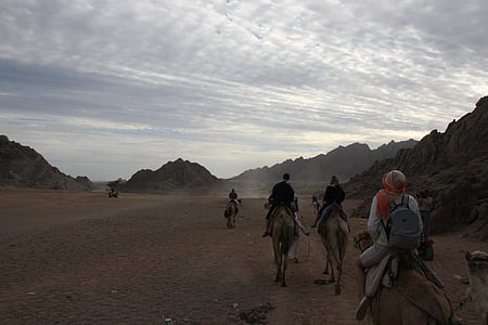 Ratsutamine, Camel, Egiptus, seiklus, Desert, Aafrika