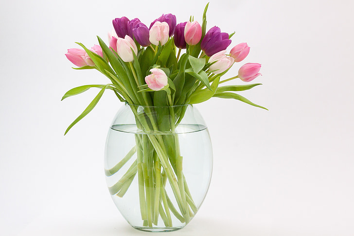 Tulip, bouquet de tulipes, fleur de printemps, bouquet, schnittblume, fleur, Blossom
