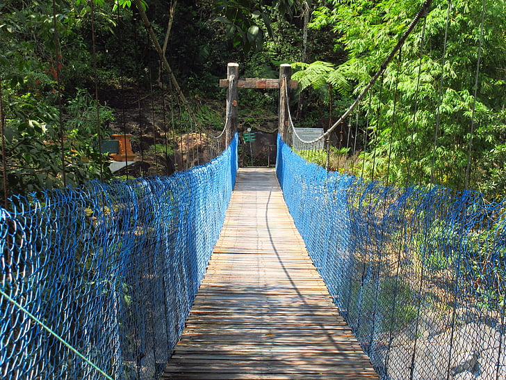 Canopy walk, Brücke, Brücke zu Fuß