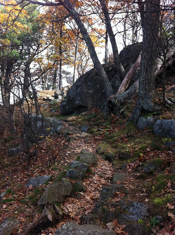 planinarenje, na otvorenom, zdrav, šuma, hodanje, ruksak