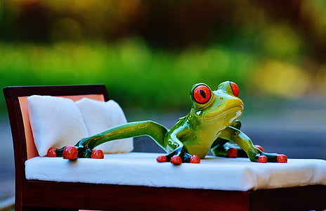 žaba, posteľ, obrázok, smiešny, milý, láska, obavy