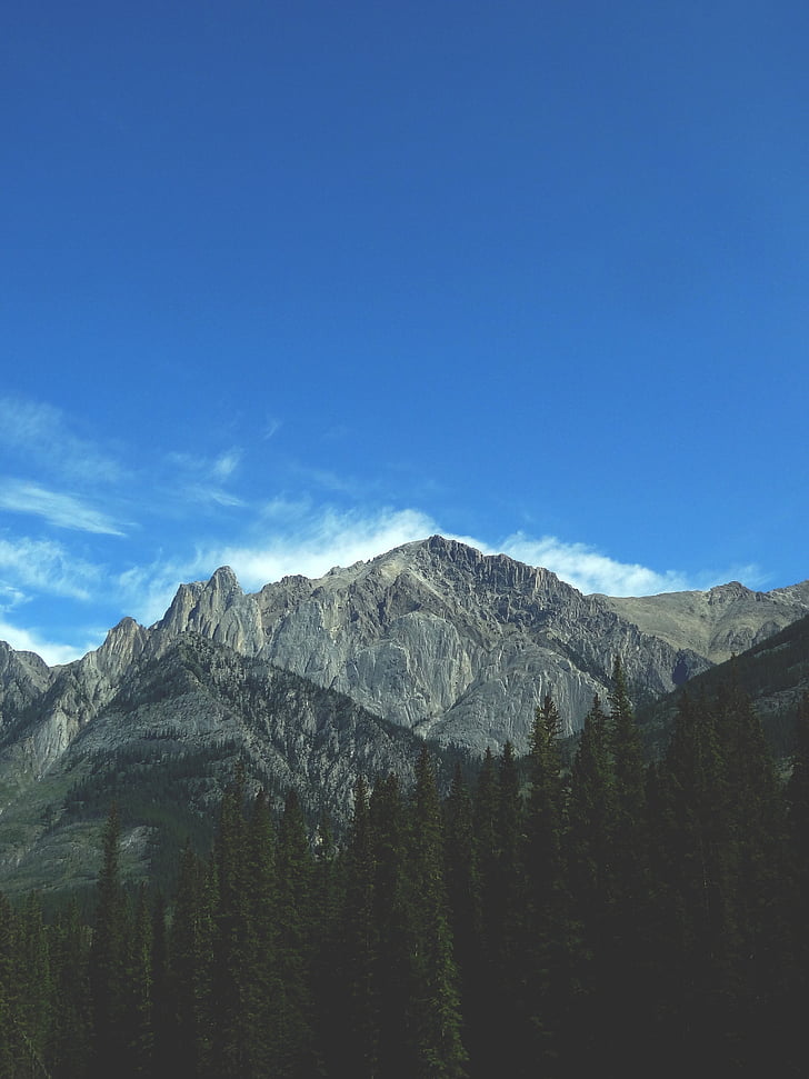 mountains, sky, blue, trees, forest, nature, summit