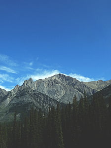 mountains, sky, blue, trees, forest, nature, summit