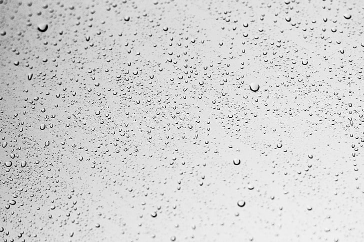 ฝน, เปียก, น้ำ, หน้าต่าง, หยด, สีเทา, หยด