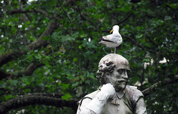 statue, park, bird, pigeon, nature