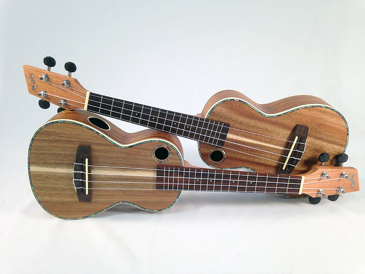 ukulele, glazbeni instrument, fretted instrumenta, glazba, na Havajima, Akustična, niz