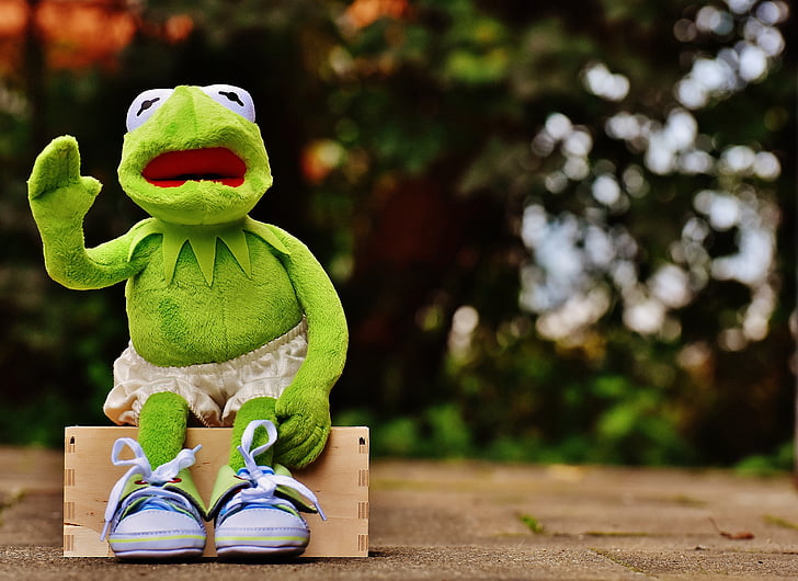 Kermit, Sente-se, banco, tênis, calças, sapo, engraçado