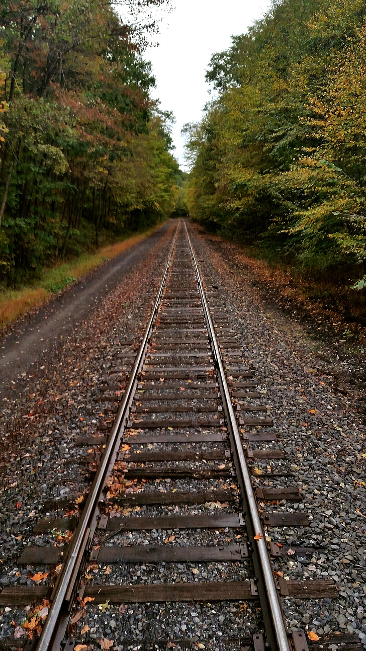 geležinkelio bėgiai, kelionės, rudens kelionės, traukinys