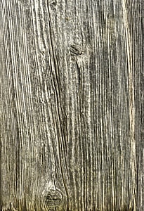 wood, structure, grain, tree, texture, background, tree bark