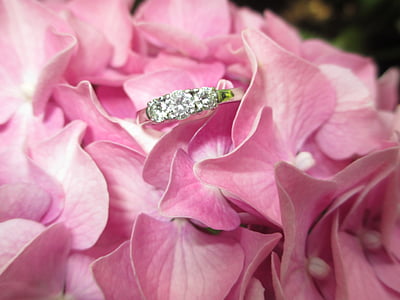 prstan, cvet, diamant, zaročni prstan, narave, Povečava, rastlin