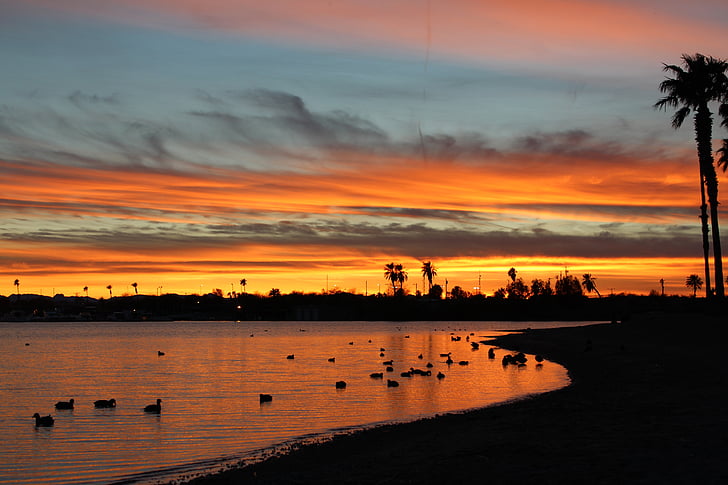 Sunset, Arizona, Lake, heijastus, siluetti, taivas, Cloud - sky