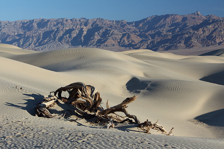 öken, Death valley, sand dunes, vildmarken, ödsliga, torra, landskap