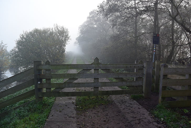 fence, fog, polder, grass, mist, air, misty