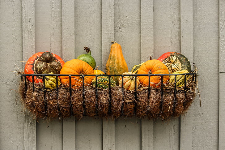 gourds, gresskar, squash, høst vignett, høsten grønnsaker, Halloween, oransje