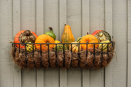 čipka, buče, squash, jeseni vinjete, padec zelenjave, Halloween, oranžna