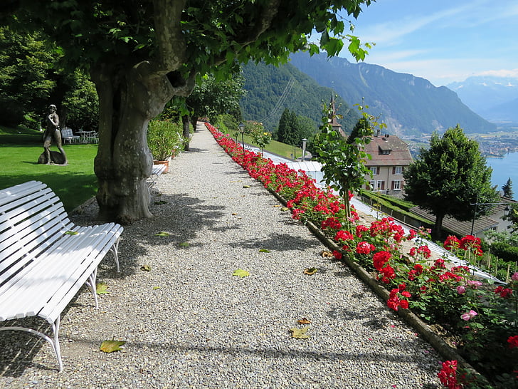 Rosenweg, nézet, a Genfi-tó, Svájc