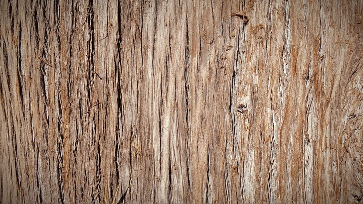 tronco, corteza, corteza de árbol, árbol, naturaleza, madera, textura